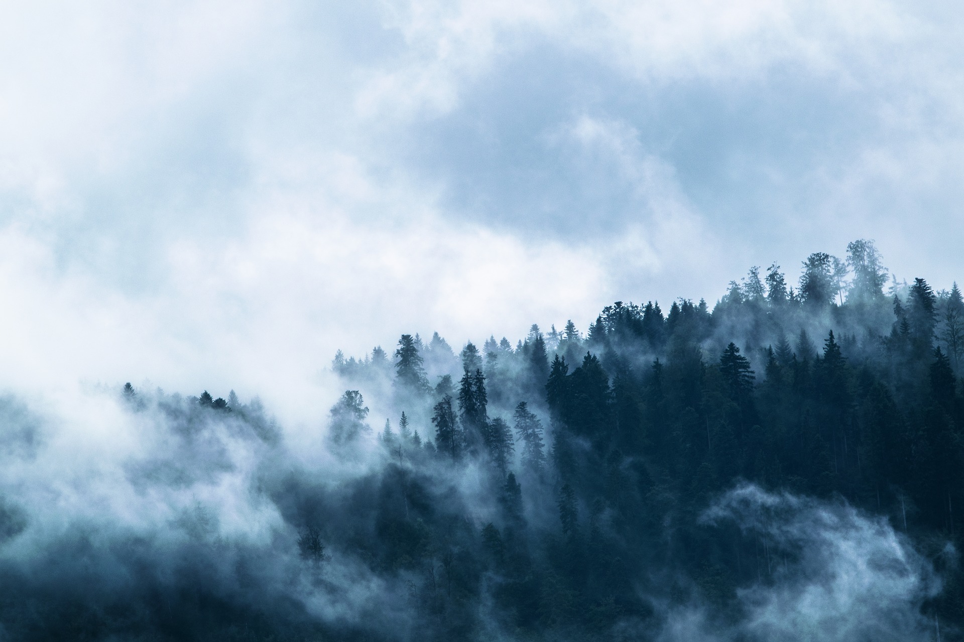 Mountains